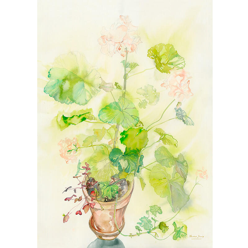 Art print Pelargonium theresa jessing