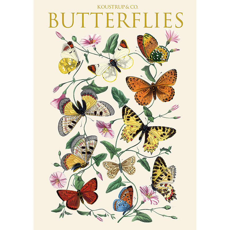 BUTTERFLIES - 8 cards