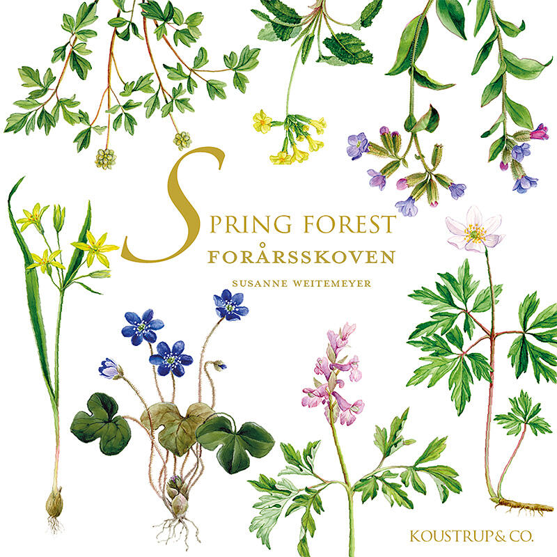 SPRING FOREST - Square card set