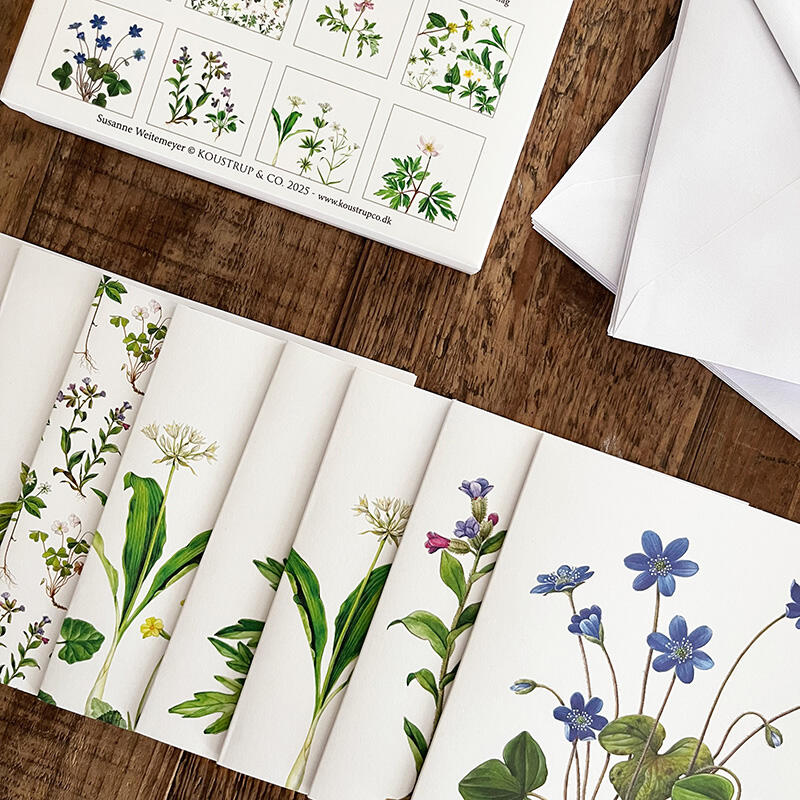 SPRING FOREST - Square card set