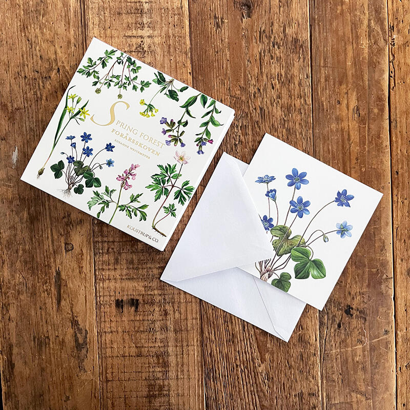SPRING FOREST - Square card set