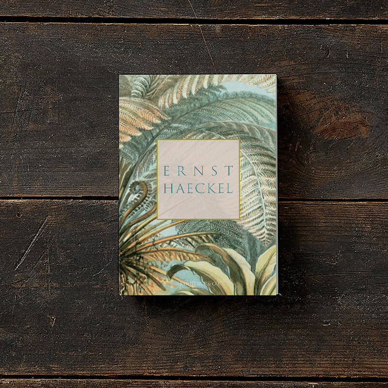 ERNST HAECKEL - 8 cards