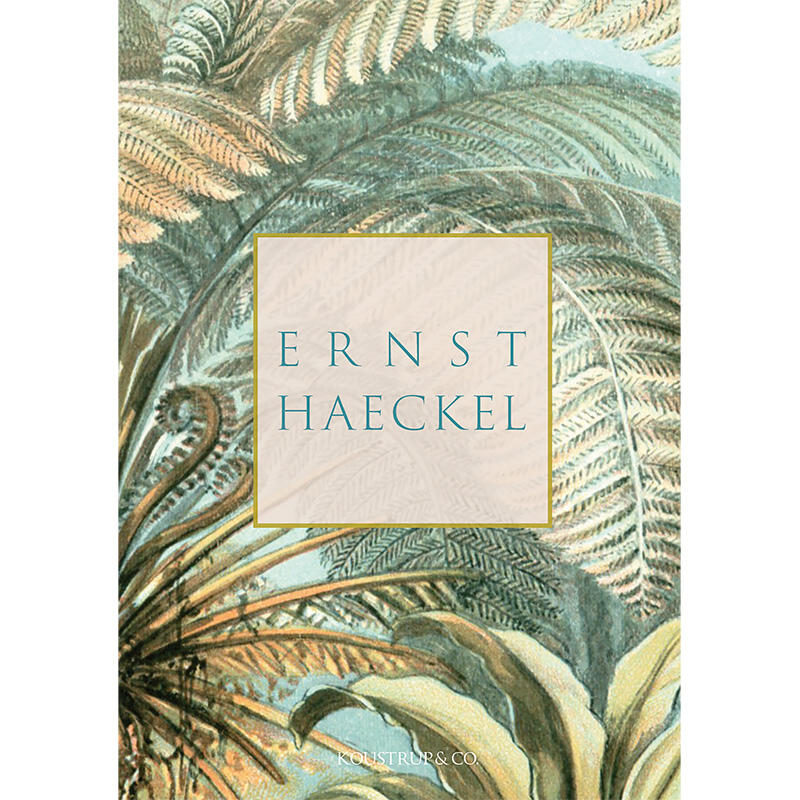 ERNST HAECKEL - 8 cards