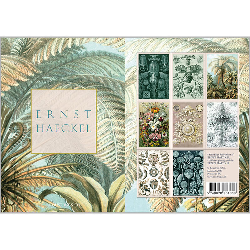ERNST HAECKEL - 8 cards