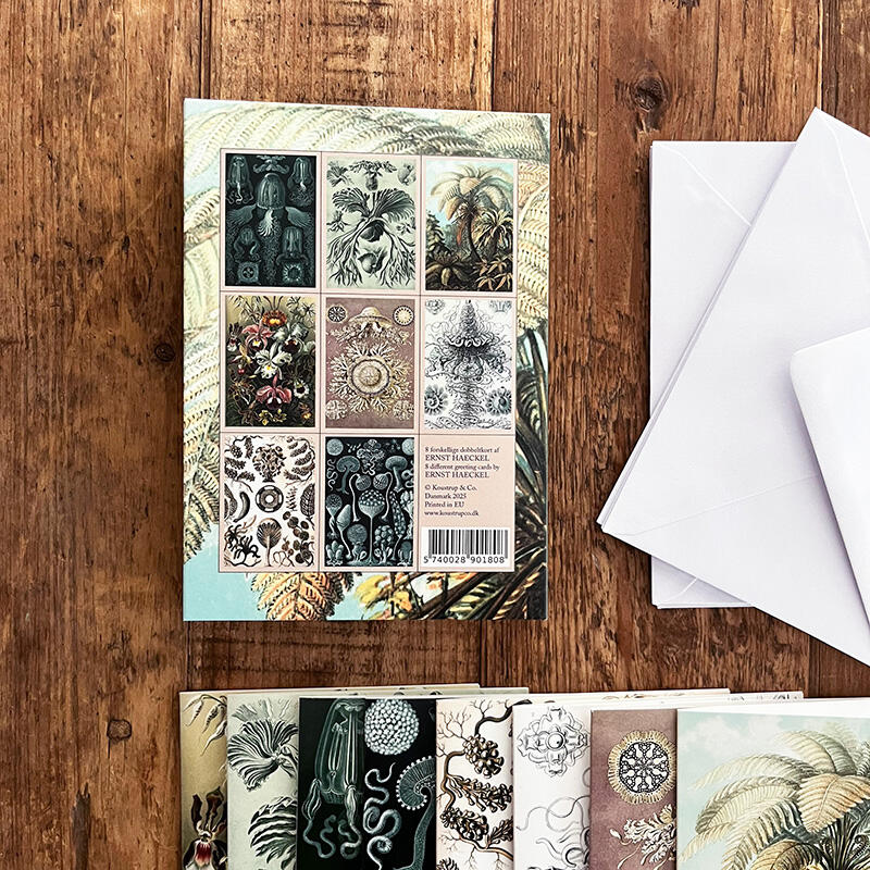 ERNST HAECKEL - 8 cards