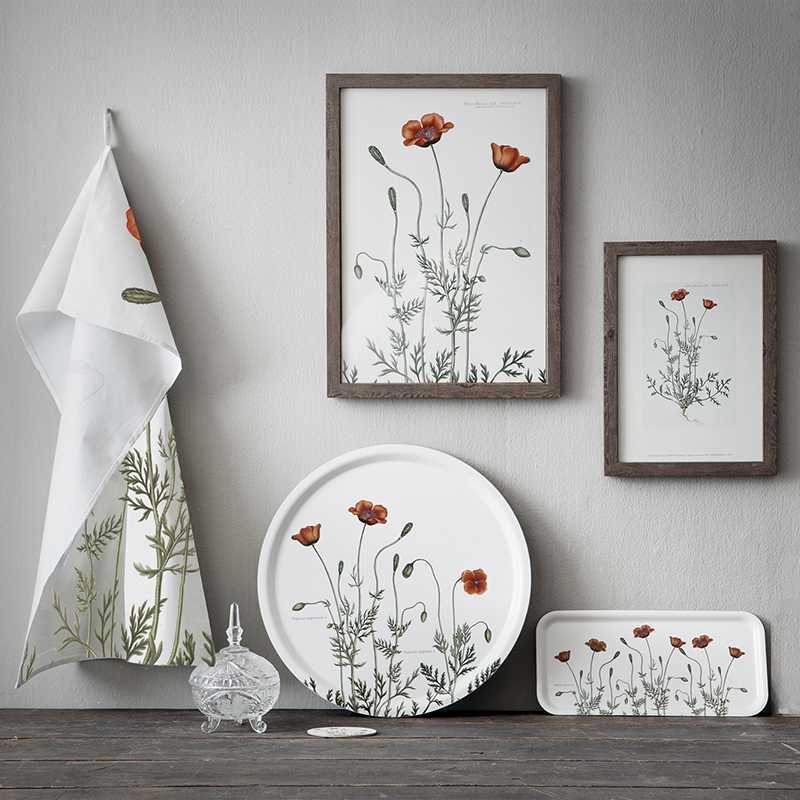 Køllevalmue - ART PRINT - CHOOSE SIZE