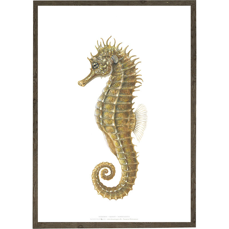 Seahorse - ART PRINT - CHOOSE SIZE