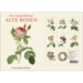 ALTE ROSEN - 8 cards (German)