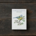 GARDEN BIRDS SPRING - 8 cards (German)