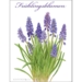 SPRING FLOWERS - 8 Cards (German)