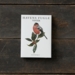 GARDEN BIRDS WINTER - 8 cards