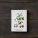 FRUIT & BERRIES - 8 cards