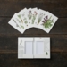 HERBS - 8 cards