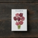TULIPS - 8 cards (German)