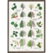 TREES - Poster A2
