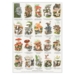 A4 Print - Edible Mushrooms