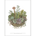 ART PRINT A3 - Succulents in a Pot