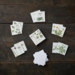 MINI SQUARE CARD - Edible wild plants - 8.5 x 8.5 cm