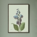 Hosta - ART PRINT - CHOOSE YOUR SIZE