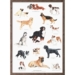 A4 PRINT - Dog Breeds