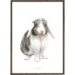 Rabbit - ART PRINT - CHOOSE SIZE