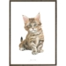Kitten - ART PRINT - CHOOSE SIZE