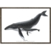 Humpback Whale - ART PRINT - CHOOSE SIZE
