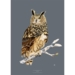 Large Eagle Owl - KUNSTPRINT - CHOOSE SIZE