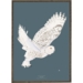 Snowy Owl - ART PRINT - CHOOSE SIZE