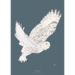Snowy Owl - ART PRINT - CHOOSE SIZE