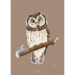 Pearl Owl - ART PRINT - CHOOSE SIZE