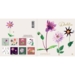 Dahlia card set cover