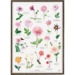 A4 Print - Dahlia