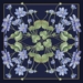 SILK SCARF - Blue Anemone - 50 cm