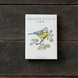 GARDEN BIRDS SPRING - 8 cards