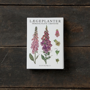 MEDICINAL PLANTS - 8 cards