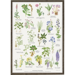 POISONOUS PLANTS - A2 Poster