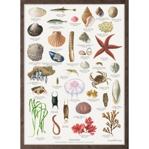 THE BEACH - Poster A2