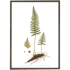 Engelsød A2 - Art Print