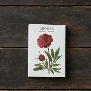 Peonies – 8 cards