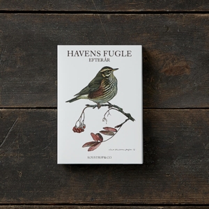 GARDEN BIRDS AUTUMN - 8 cards