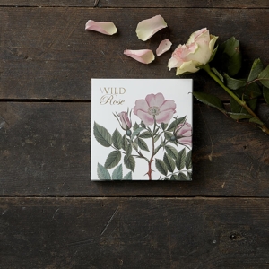 WILD ROSE - Square card set