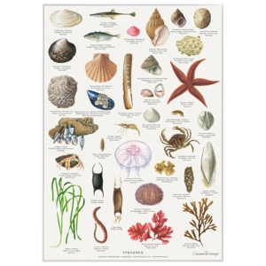 A4 Print - The Beach