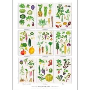 A4 print - Organic Garden