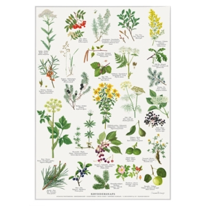 A4 Print - Spiced Schnapps