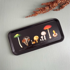Tray 32x15 - Mushrooms