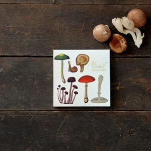 Mushrooms - Square card set