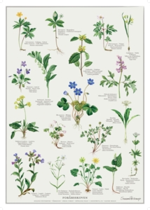 PRINT A4 - Spring Forest