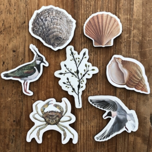 MAGNETS - COASTAL THEME, die-cut