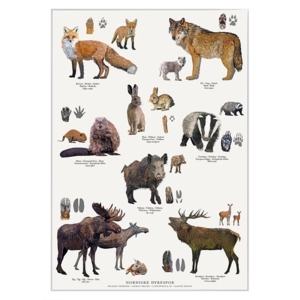 A4 Print - Nordic Animal Tracks
